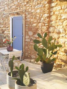 un patio con 2 macetas y una puerta azul en B&B La Corte22, en Caprino Veronese