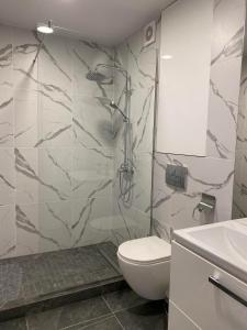 a bathroom with a shower and a toilet and a sink at Prestige Apartments Berezinka in Dnipro