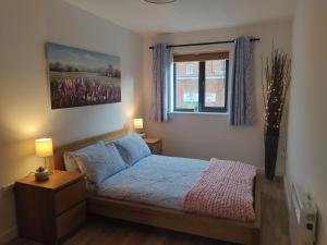 a bedroom with a bed and a painting on the wall at Fantastic centrally located 1 bed apartment in Liverpool