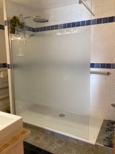 a shower with a glass door in a bathroom at Appart chocolat chaud 4 pièces-90m² 7 personnes in Saint-Marcel +10 photos