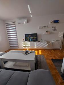 - un salon avec un canapé et une télévision dans l'établissement Apartman Victoria, à Lukavica