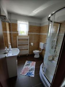 La salle de bains est pourvue d'une douche, d'un lavabo et de toilettes. dans l'établissement Apartman Niki, à Lič