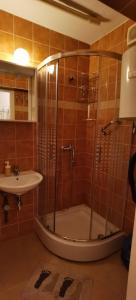 a bathroom with a shower and a sink at Studio apartman Tonka in Vinkovci