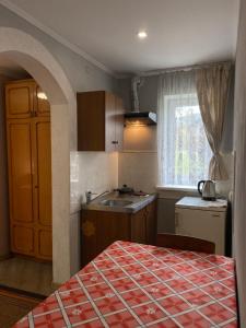 a small kitchen with a sink and a stove at Villa Vella in Skhidnitsa