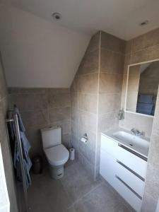 a bathroom with a toilet and a sink at Contemporary Cottage outside South Harting in South Harting