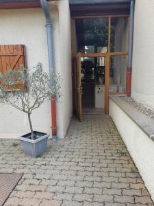 una planta en una olla delante de una puerta en En Beauvoir, en Cormot-le-Grand