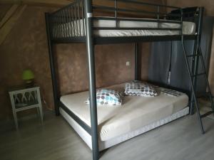 a bedroom with a bunk bed with a ladder at Les attelages de la fontaine in Épothémont