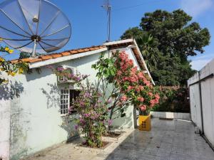 a white house with flowers and an umbrella at Casa para temporada - Chapada das Mesas in Carolina