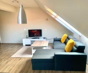 un salon avec un canapé bleu et une télévision dans l'établissement ,,Адела”-апартамент за гости, à Velingrad 10 autres photos