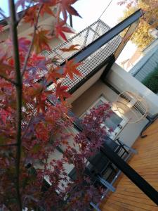 a tree with red leaves in front of a house at MAXIM Apartments in Harkány