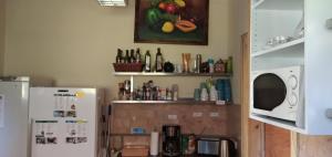 eine Küche mit einem Kühlschrank und einer Mikrowelle in der Unterkunft Hummel Hostel - Historische Stadtvilla mit Garten in Weimar