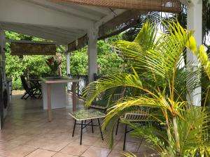 Zahrada ubytování Villa Rose Caraibes