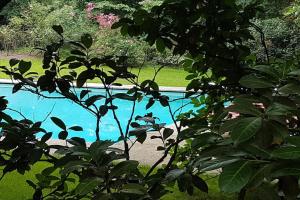 una piscina en medio de un patio en Villa Bottini ideale per relax di lusso, en Robecco dʼOglio