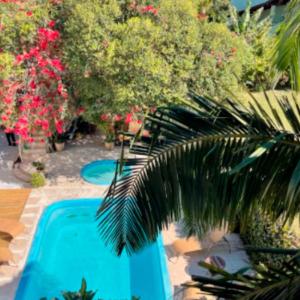 una piscina azul con palmeras y flores en Villa Rupestre, en Florianópolis