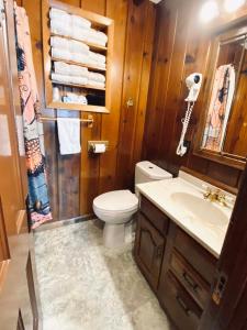 a bathroom with a toilet and a sink at Foot of the Mountain Motel in Boulder