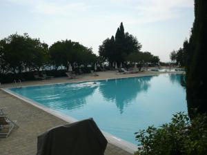 a large blue swimming pool with chairs and trees at Il Gelsomino in Castelfalfi