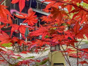 Foto dalla galleria di Mojo Lodge Hakuba a Hakuba