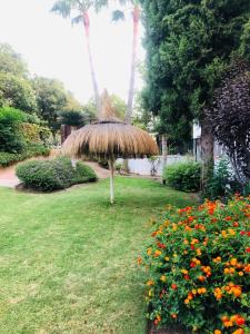 Zdjęcie z galerii obiektu Comfortable and spacious apartment with nice views w mieście Benalmádena