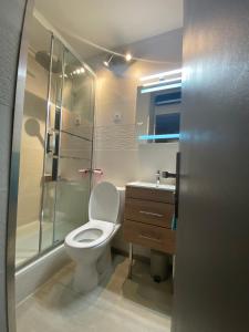 Kúpeľňa v ubytovaní STUDIO COCOONING SUPERDEVOLUY PIED DES PISTES
