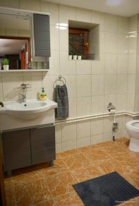 bagno con lavandino e servizi igienici di Lek za dušu a Despotovac