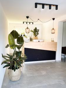 a kitchen with a counter and a potted plant at PAM Apartments in Kaprun