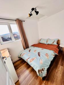 1 dormitorio con 1 cama en una habitación con ventanas en Master Adventure Guest House, en Vadu Crişului