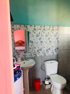 a bathroom with a white toilet and a sink at LE JAVA in Antsakomboena