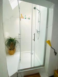 a shower stall in a bathroom with a plant at Hannover List 2 bedroom home away from home in Hannover