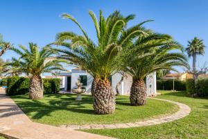 un grupo de palmeras frente a una casa en Apartamentos Las Golondrinas, en Cala'n Bosch