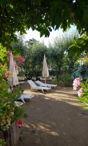 Zahrada ubytování Hotel Bisanzio