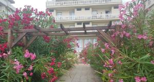 Zahrada ubytování Hotel Bisanzio
