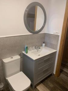a bathroom with a toilet and a sink and a mirror at Dúplex Rural Casa Bergua in Arguis