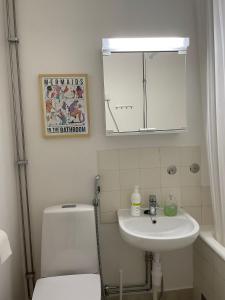 a bathroom with a toilet and a sink and a mirror at Keskusta kaksio Tuomiokirkon ja Yliopiston lähellä in Turku