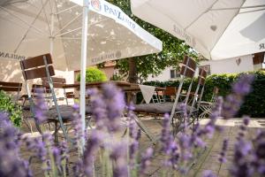 
a garden area with umbrellas and lawn chairs at Hotel Gasthof Zur Post in Bad Abbach

