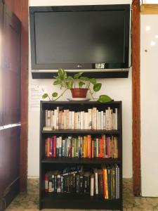 a book shelf filled with books and a television at Lua Lua Hostel Las Palmas in Las Palmas de Gran Canaria