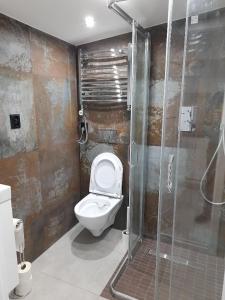 a bathroom with a toilet and a shower at Apartament na zakręcie in Karpacz