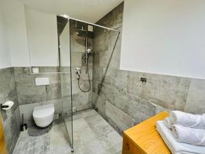 a bathroom with a toilet and a glass shower at Tiroler Zeitgeist Apartment Fügen in Fügen
