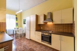 Kuchyň nebo kuchyňský kout v ubytování Apartman Exclusive Prague Whirlpool