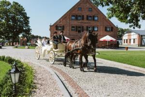 Goście zatrzymujący się w obiekcie Palac Mortegi Hotel & SPA- Restauracja Szlachecka, SPA, Basen, Sauny, Jazda Konna, Mini Zoo- Luksus, Relaks i Przyroda w jednym!