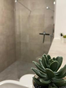 baño con ducha y planta verde en Luxus Apartment II - Netflix & Gym, en Reken