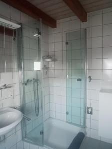 y baño con ducha acristalada y lavamanos. en Fewo Höhbergblick en Tauberbischofsheim