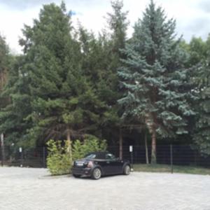 ein schwarzes Auto parkt auf einem Parkplatz mit Bäumen in der Unterkunft Gästehaus Ritter & Pacia, Ferienwohnung 2. Etage in Sangerhausen