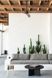 soggiorno con divano e cactus di Lindos Aqua Terra a Líndos