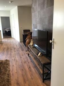TV a/nebo společenská místnost v ubytování Chic appartement in Sas van Gent