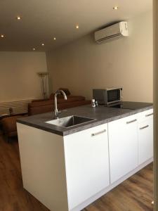 eine Küche mit einer Spüle und einer Mikrowelle in der Unterkunft Chic appartement in Sas van Gent in Sas van Gent