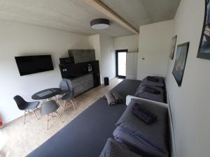 TV a/nebo společenská místnost v ubytování Moderní byt v Relax Vila Lipno u pláže Windy Point