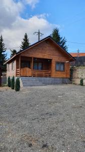 a large wooden house with a yard in front of it at Cabana Deliuta in Cavnic