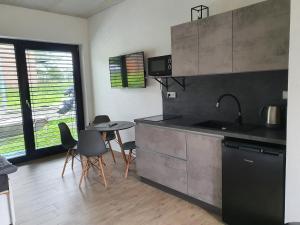 Kuchyň nebo kuchyňský kout v ubytování Moderní byt v Relax Vila Lipno u pláže Windy Point