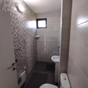 Baðherbergi á Apartman Riboškić Divčibare 2