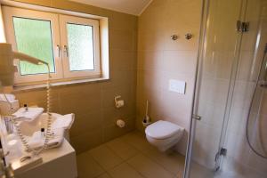 a bathroom with a toilet and a shower at BSW-Erlebnishotel Festenburg in Clausthal-Zellerfeld